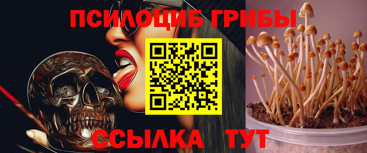 Галлюциногенные грибы Magic Shrooms  Галлюциногенные грибы мухоморы  Вход с VPN  Тихорецк 