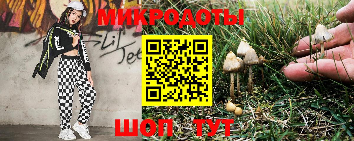 Псилоцибиновые грибы Magic Shrooms Тихорецк