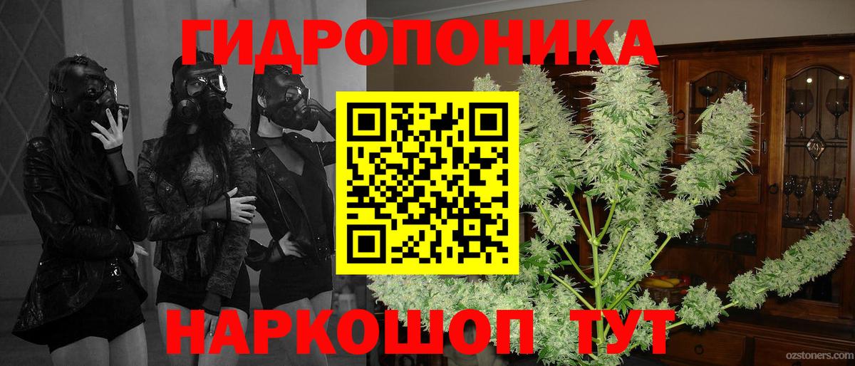 Тихорецк  МАРИХУАНА индика  Канабис Ganja  Каннабис Ganja  Вход с VPN  Бошки Шишки White Widow 
